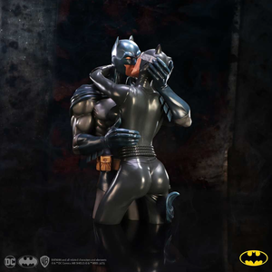 Batman & Catwoman DC Collectible Bust