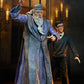 Harry Potter – Official Legacy Collection Albus Dumbledore Action Figure