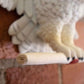 Harry Potter – Official Hedwig Owl Post Wall Décor