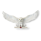 Harry Potter – Official Hedwig Owl Post Wall Décor