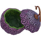 One Piece – Official Devil Fruit Trinket Box