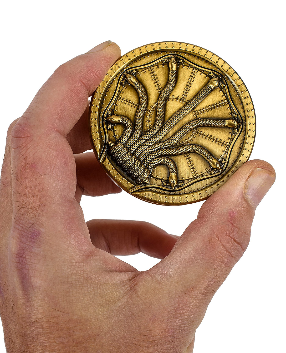 Harry Potter: Chamber of Secrets Door Coin