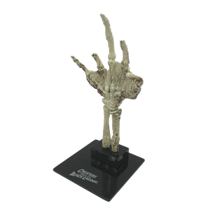 Factory Entertainment The Creature from the Black Lagoon (1954) Fossilised Creature Hand Scaled Prop Replica