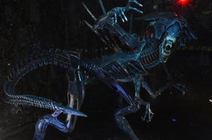 Aliens – Official Xenomorph Queen Ultra Deluxe Action Figure