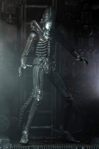Alien - 40th Anniversary Big Chap