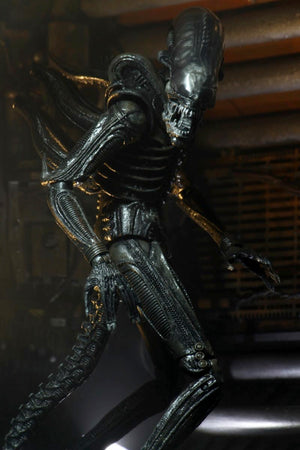 Alien - 40th Anniversary Big Chap