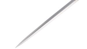 Demon Souls - Penetrator Sword