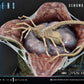 Aliens - Prime 1 Studio Premium Masterline Series Statue Xenomorph Egg Open Version **Pre-Order**