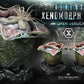 Aliens - Prime 1 Studio Premium Masterline Series Statue Xenomorph Egg Open Version **Pre-Order**