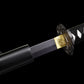 The Last Samurai - Display (Straight) Katana (Black Blade)