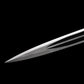 Dark Souls - Greatsword of Artorias V2