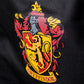 Harry Potter: Gryffindor Polyester Back to School Backpack
