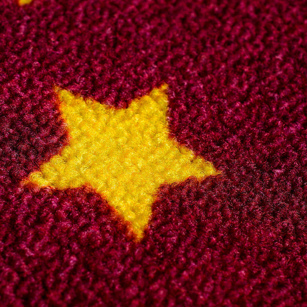 Harry Potter: Potter 07 Quidditch Rug