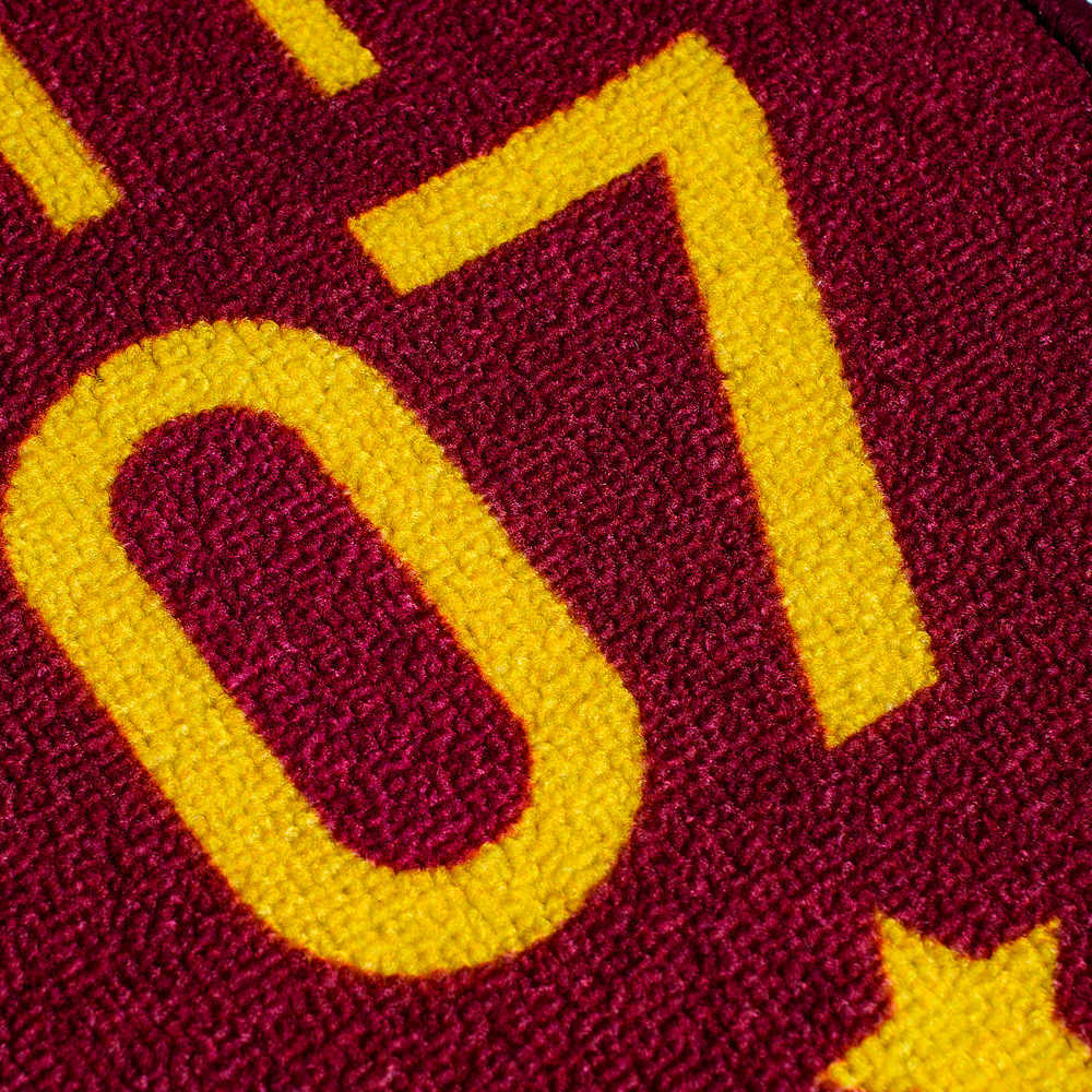 Harry Potter: Potter 07 Quidditch Rug
