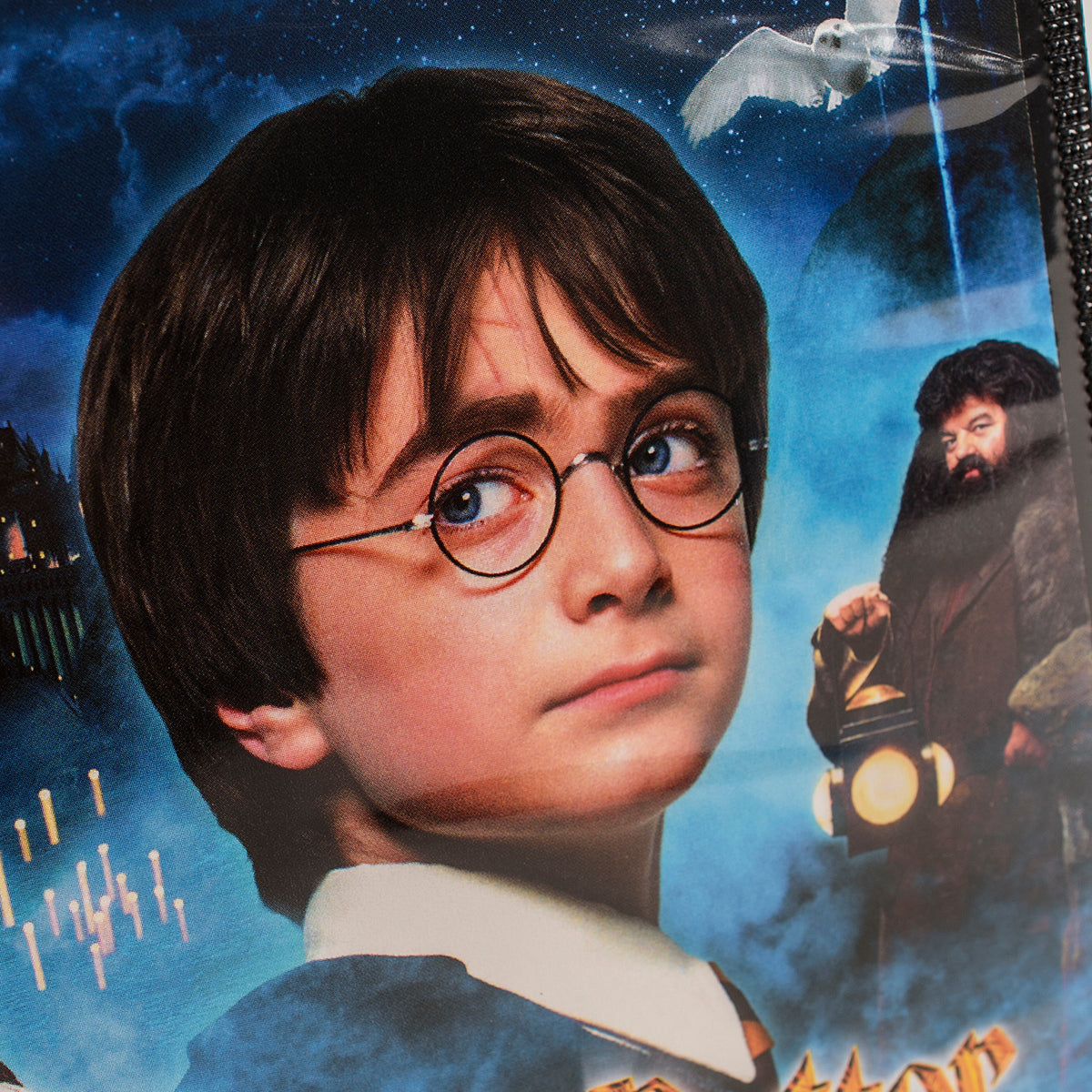 Harry Potter And The Philosopher's Stone: Rewind Lights Video Light