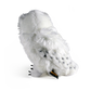 Harry Potter - Official Hedwig Plush