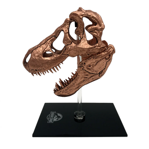 Factory Entertainment Jurassic Park T-Rex Skull Scaled Prop Replica