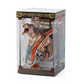 Jurassic Park - Tyrannosaurus Rex Diorama