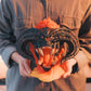 The Lord of the Rings – Balrog Lamp
