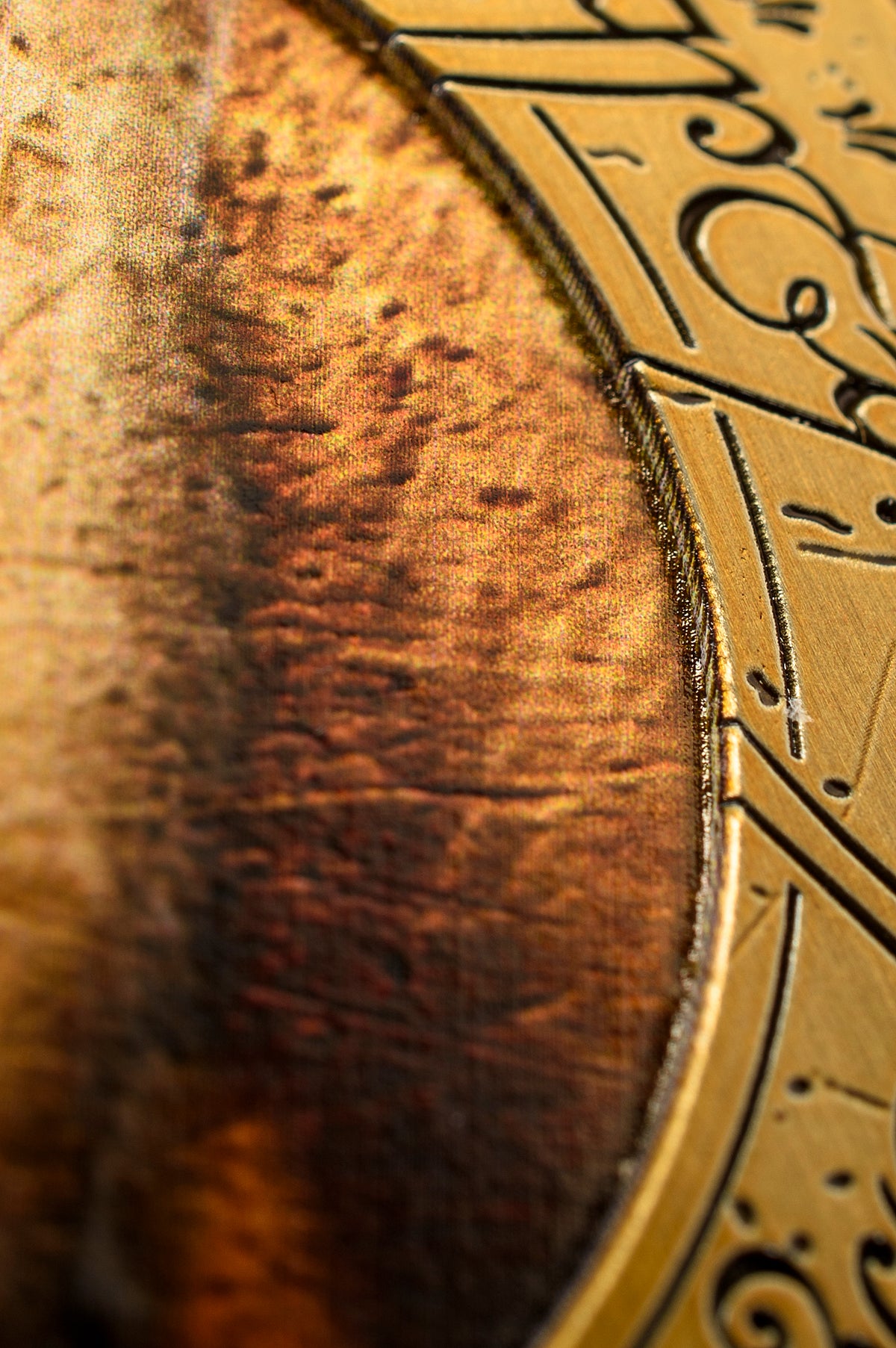 Lord of the Rings: The Fellowship Deluxe Coin with Display Stand