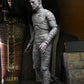Universal Monsters – Ultimate The Mummy (Colour) Action Figure