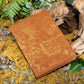 Map of Middle Earth Journal