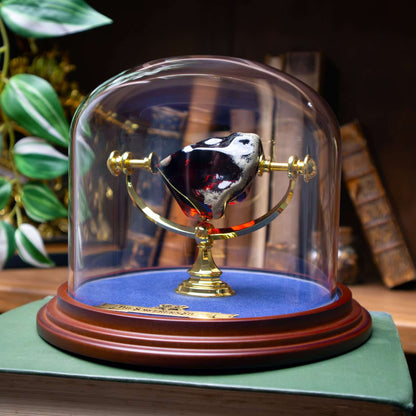 Harry Potter - Philosopher's Stone Display Case