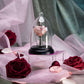 Harry Potter - Love Potion Pendant and Display