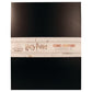 Harry Potter Limited Edition Lithograph Set