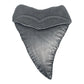 Jaws - 50th Anniversary Shark Tooth Medallion