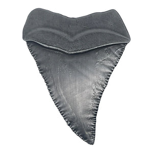 Jaws - 50th Anniversary Shark Tooth Medallion