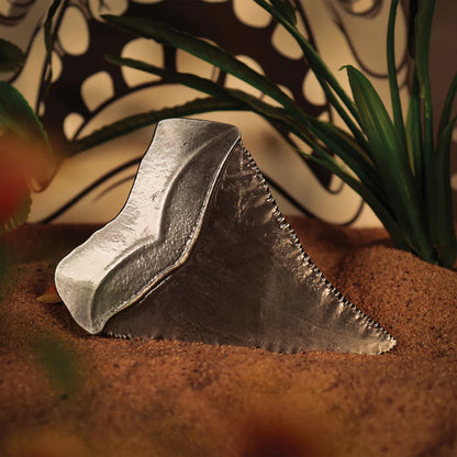 Jaws - 50th Anniversary Shark Tooth Medallion