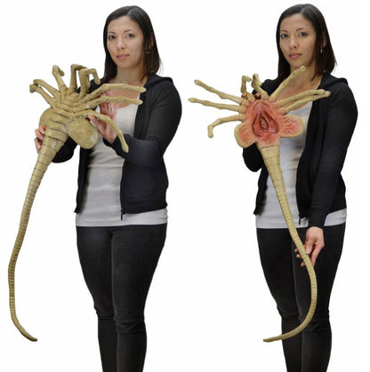 Aliens - Official Life Size Facehugger Prop Replica