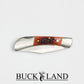 Buckland "The Rancher" Cow Bone Handle Locking Folding Knife