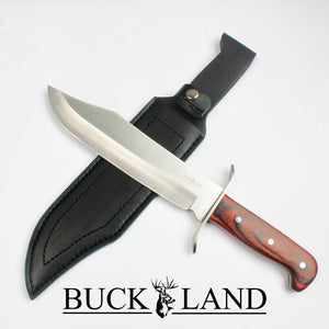 Buckland - Favourite Bowie