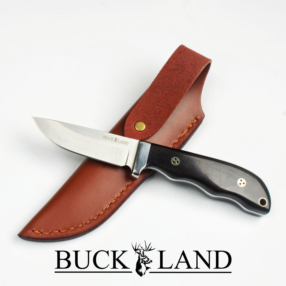 Buckland - The Forager