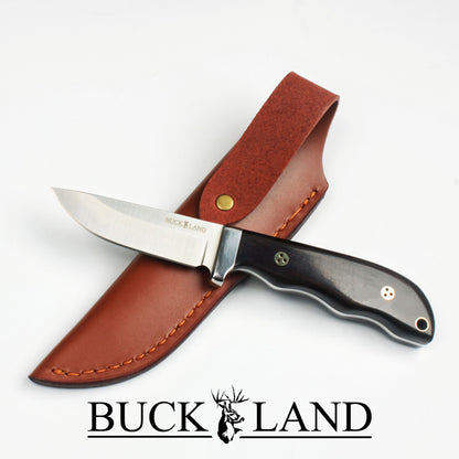 Buckland – The Forager