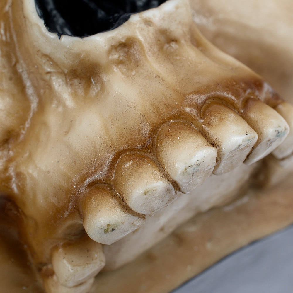 Warhammer 40,000: Servo Skull Mug
