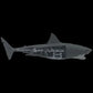 JAWS - Mechanical Bruce the Shark Scaled Prop Replica