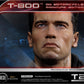 Terminator 2 - T-800 on Motorcycle Limited Signature Edition - COA Signed By Arnold Schwarzenegger!