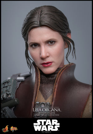 Star Wars - Return Of The Jedi Hot Toys 1/6 Leia Organa (Boushh Disguise)