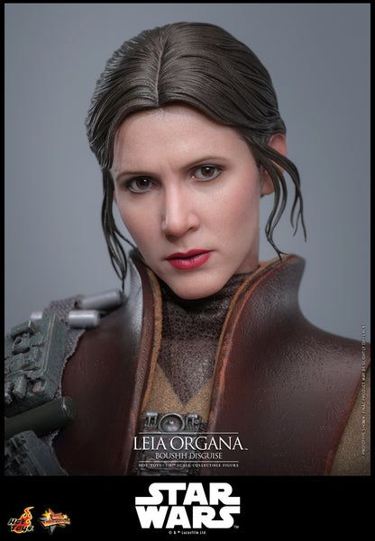 Star Wars - Return Of The Jedi Hot Toys 1/6 Leia Organa (Boushh Disguise)