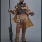 Star Wars - Return Of The Jedi Hot Toys 1/6 Leia Organa (Boushh Disguise)