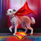 DC - Supergirl & Krypto 1:6 Scale Figure Set | Hot Toys