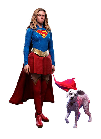 DC - Supergirl & Krypto 1:6 Scale Figure Set | Hot Toys
