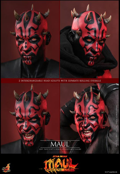 Star Wars - Maul 1:6 Scale Figure by Hot Toys
