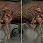LAYAWAY DEPOSIT ONLY - Star Wars - Jabba the Hutt & Throne (Deluxe Version) 1:6 Scale Figure | Sideshow