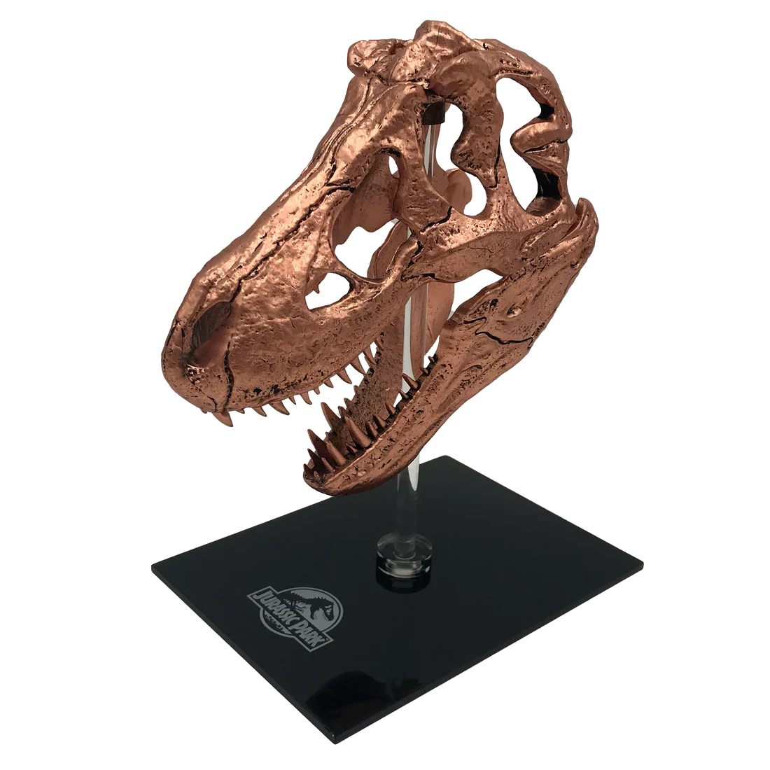 Factory Entertainment Jurassic Park T-Rex Skull Scaled Prop Replica