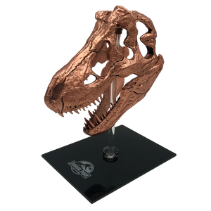 Factory Entertainment Jurassic Park T-Rex Skull Scaled Prop Replica