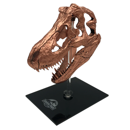 Factory Entertainment Jurassic Park T-Rex Skull Scaled Prop Replica